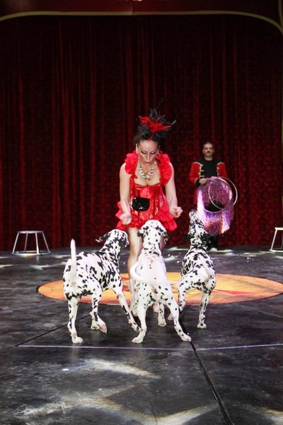 Opening of Dragon Circus